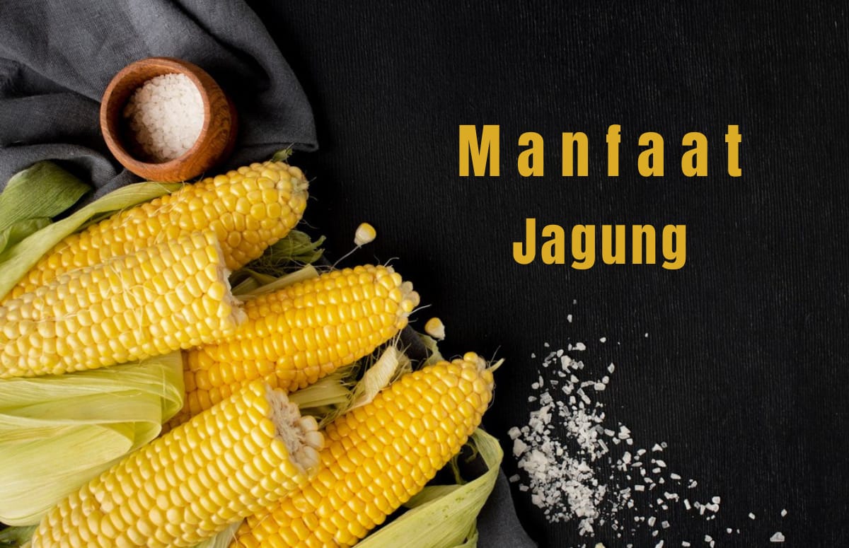 Obat Alami Ampuh! 20 Manfaat Jagung untuk Kesehatan yang Jarang Orang Tau