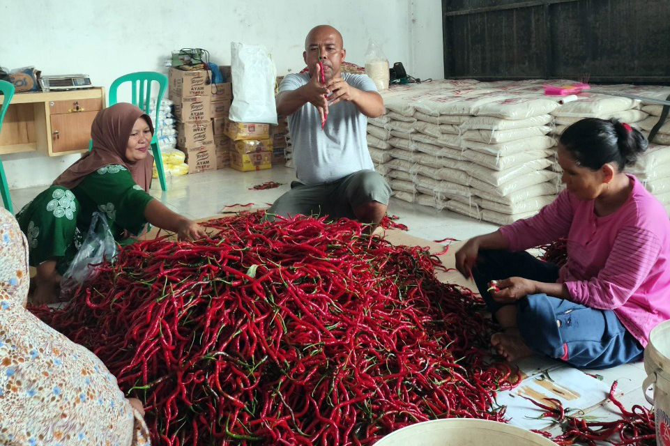 Perkuat Ketahanan Pangan dan Gizi Nasional, BRI Salurkan Pembiayaan Kepada Koperasi Penyuplai Bahan Pangan MBG