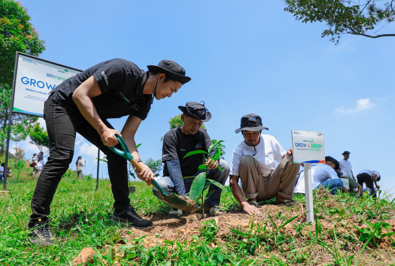 Pulihkan Hutan Bekas Tambang, Aksi Nyata Kelompok Tani Selamatkan Lingkungan Bersama BRI Menanam-Grow & Green