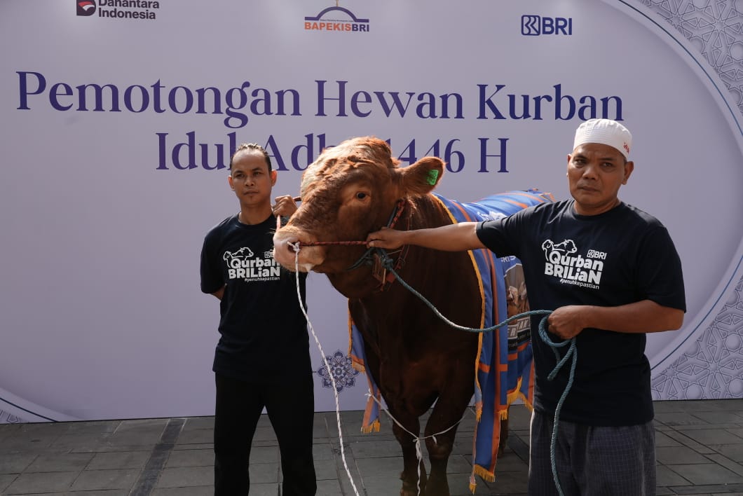Idul Adha 1446 H, Bapekis dan Karyawan BRI Salurkan 961 Hewan Kurban untuk Masyarakat