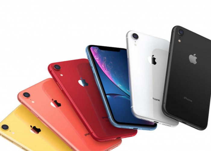 iPhone XR: Solusi Pilihan Ponsel Pintar Apple dengan Harga Terjangkau!