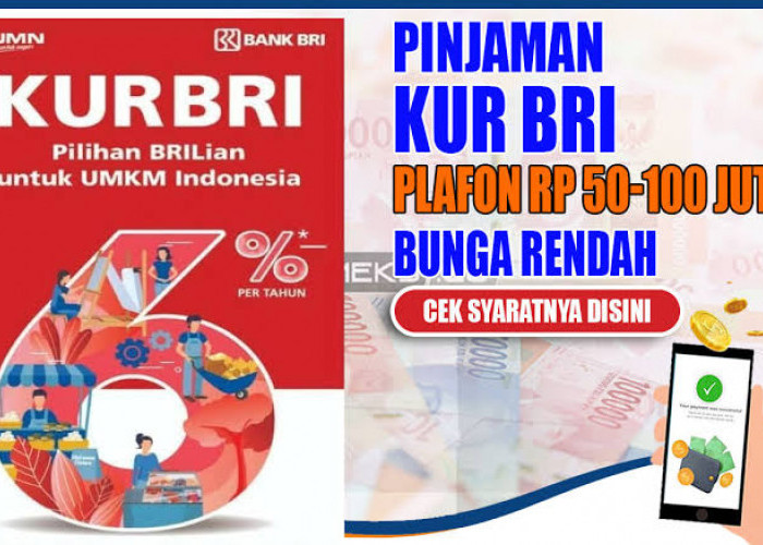 Cara Top Up KUR BRI Lewat BRImo, Ini Dokumen Wajib yang Harus Disiapkan