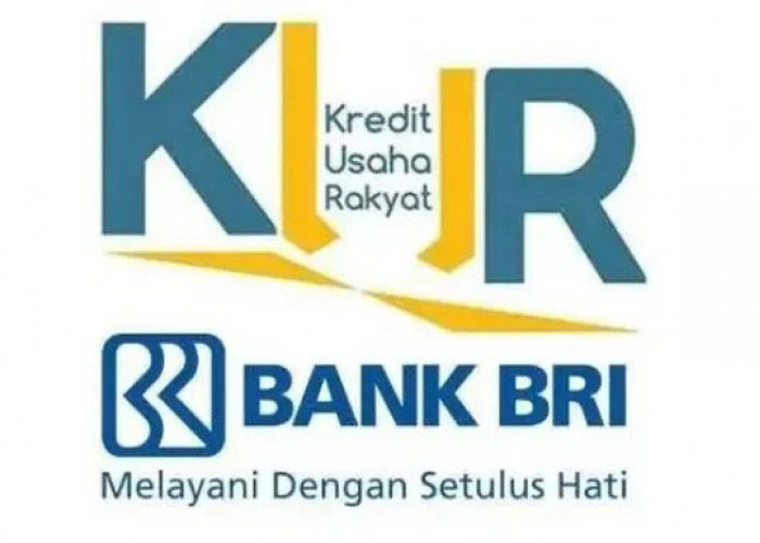 Bersiap! KUR BRI 2024 Kembali Dibuka, Intip Jadwal dan Syarat Pengajuan Terbaru Disini  