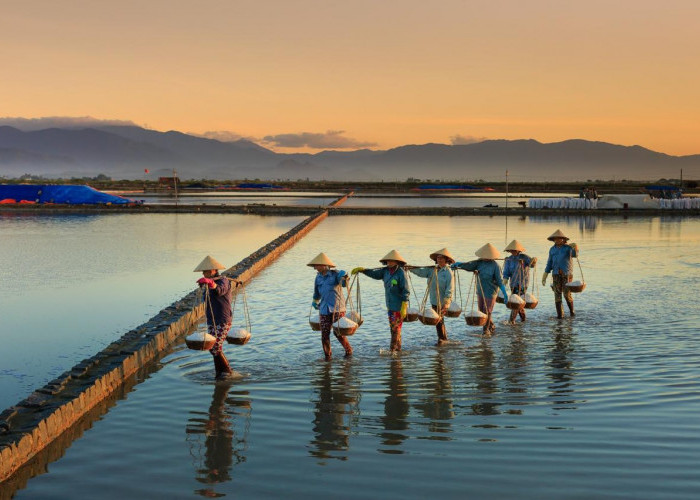 BRI Salurkan KUR Rp54,9 Triliun Hingga April 2025, Bukti Nyata Dukung UMKM