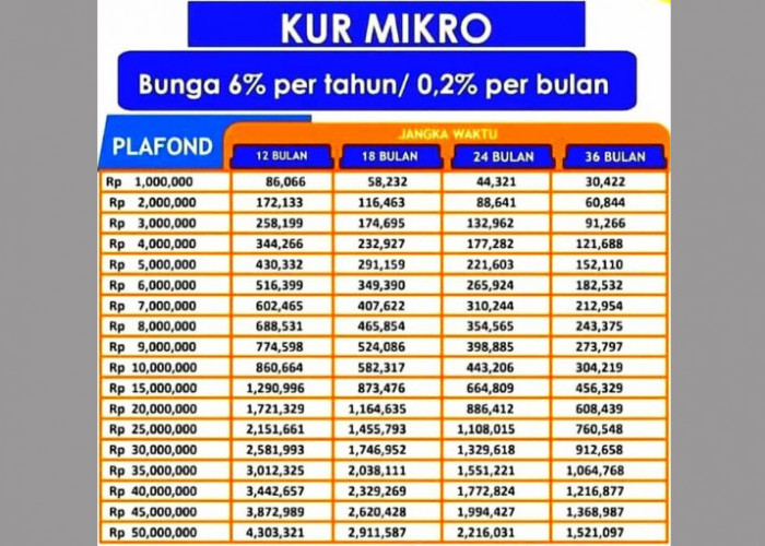 Pinjaman Rp 100 Juta untuk UMKM dari KUR BRI 2023, Syarat Mudah dan Langsung Cair