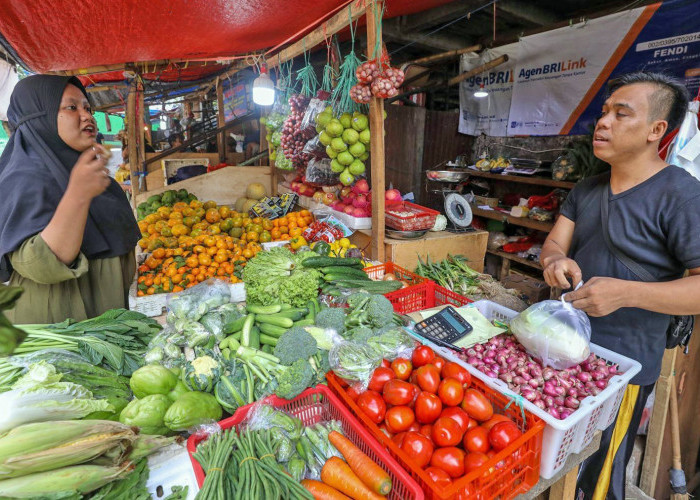 Ekspansi Bisnis UMKM Triwulan III 2024 Melambat, BRI Soroti Pentingnya Penguatan Daya Beli