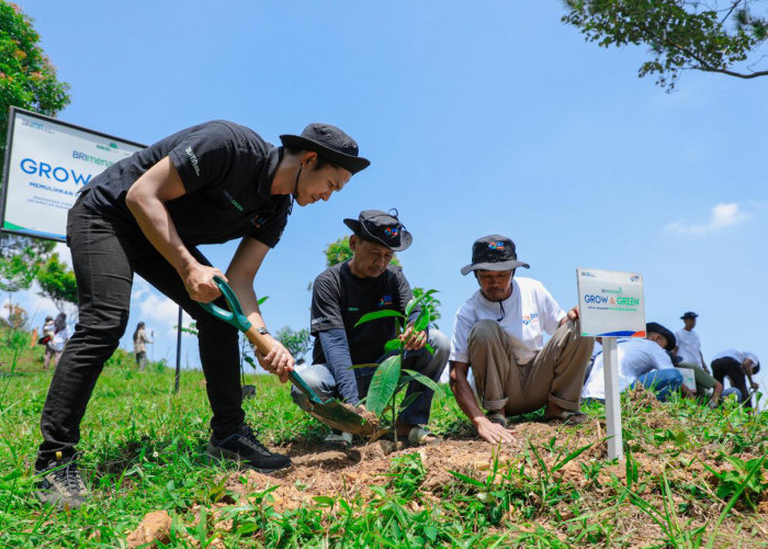 Pulihkan Hutan Bekas Tambang, Aksi Nyata Kelompok Tani Selamatkan Lingkungan Bersama BRI Menanam-Grow & Green