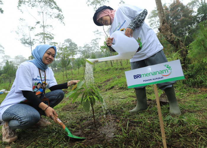 Skor ESG Meningkat, BRI Kukuhkan Posisi Sebagai Pemimpin Keberlanjutan di Perbankan Indonesia