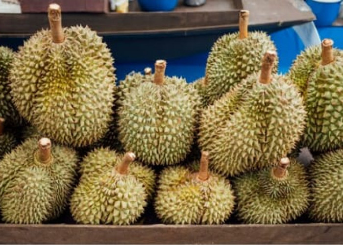 Wajib Tau! 20 Manfaat Durian yang Jarang Diketahui oleh Banyak Orang