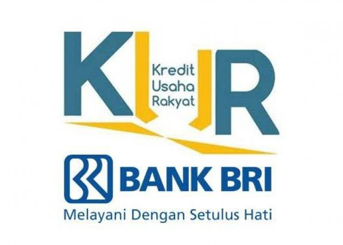 Siap-Siap! Berikut Bocoran Jadwal Pembukaan KUR BRI 2024, Pelaku UMKM Wajib Tau