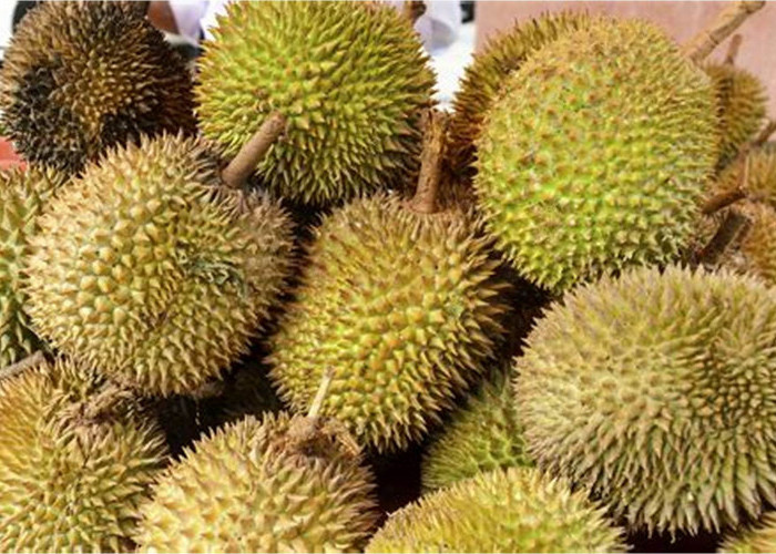 Musim Panen Tiba! Warga Ilir Barat I Turut Ramaikan Acara Lomba Makan Durian dan Duku, Apa Hadiahnya?