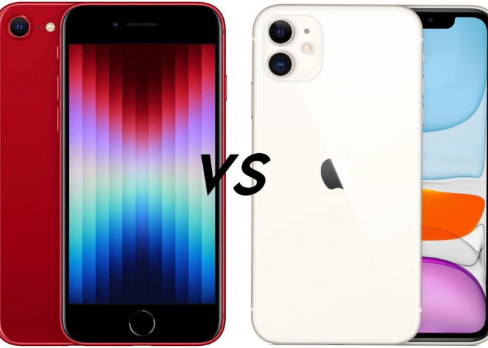 Miliki Harga yang Sama, Adu Spek iPhone SE 3rd Gen vs iPhone 11, Mana yang Lebih Unggul?
