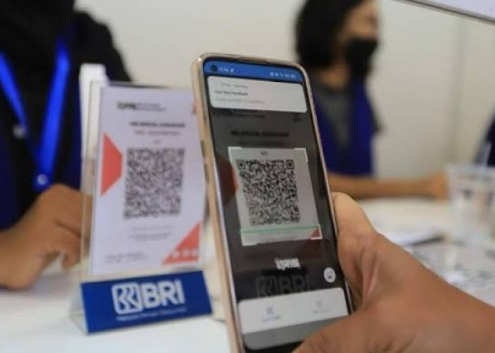 BRILink Permudah PMI di Desa Talang Pangeran Kirim Uang, Cepat dan Biaya Murah