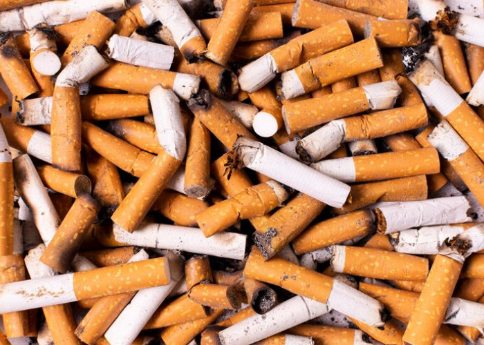 Resmi! Kenaikan Cukai Rokok Mencapai 10 Persen, Berikut Daftar Harga Terbaru Rokok 
