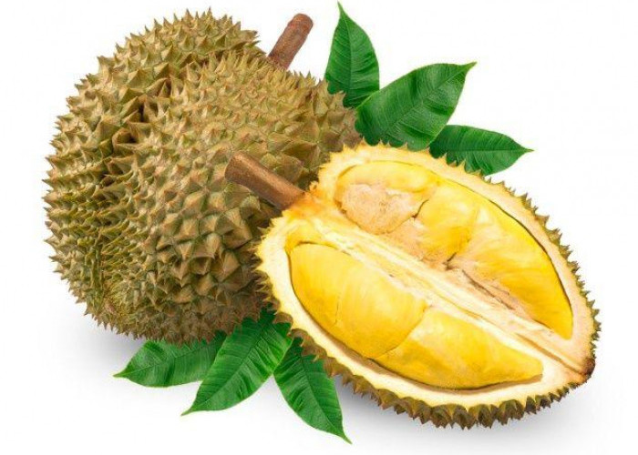 Hati-Hati! Ternyata 10 Makanan Ini Tidak Boleh Dimakan Bersama Durian, Nomor 6 Banyak yang Tidak Sadar