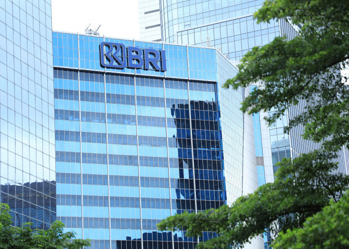 Langkah Akseleratif Transformasi BRI Tuai Dukungan Komisi XI DPR RI