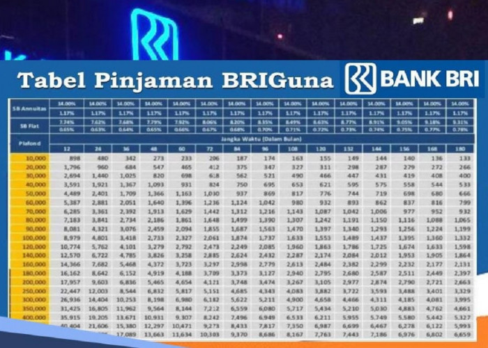 SK Kontrak PPPK Bisa Jadi Syarat Ajukan BRIGuna Karya BRI