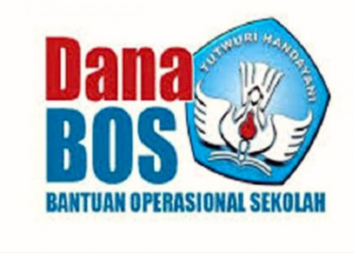 Kabar Gembira! Dana BOS Sekolah 2024 Sudah Cair, Ini Informasi Besaran Jumlahnya dan Cara Ceknya