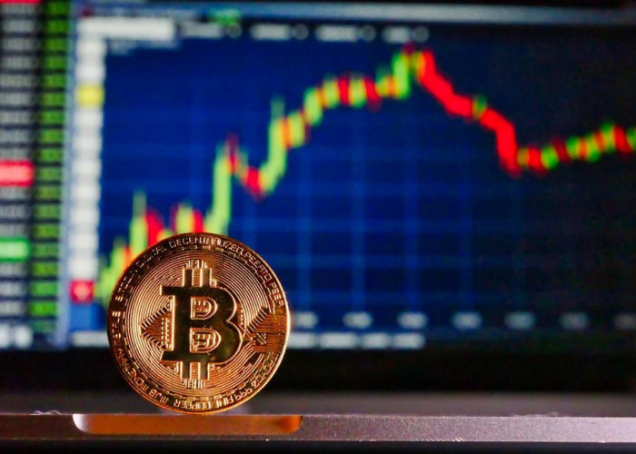 Investor Pemula Wajib Tau! Ini Beda Kripto dan Bitcoin yang Harus Diketahui