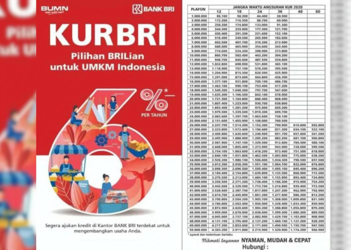 Wujudkan Potensi UMKM Bersama KUR BRI 2024, Cek Persyaratan dan Tabel Angsurannya Disini