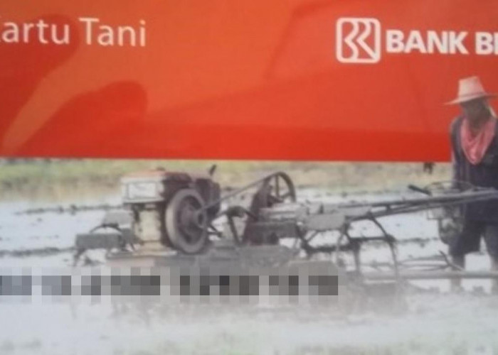 Sistem E-Alokasi dan Kartu Tani BRI, Solusi Pembelian Pupuk Subsidi bagi Petani OKU