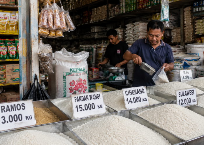 Produksi Beras Diperkirakan Menurun, Bagaimana Dampaknya terhadap Harga Pangan?