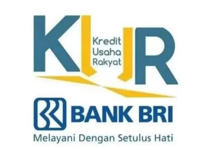 Tabel Angsuran KUR BRI 2023 Plafon Rp41 Juta, Cicilan Cuma Rp800 Ribuan, Ini Langkah Pengajuannya