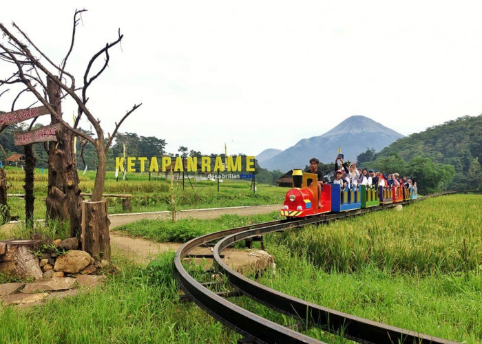 BRI Perluas Program Desa BRILiaN untuk Mendorong Pembangunan Ekonomi Desa yang Berkelanjutan