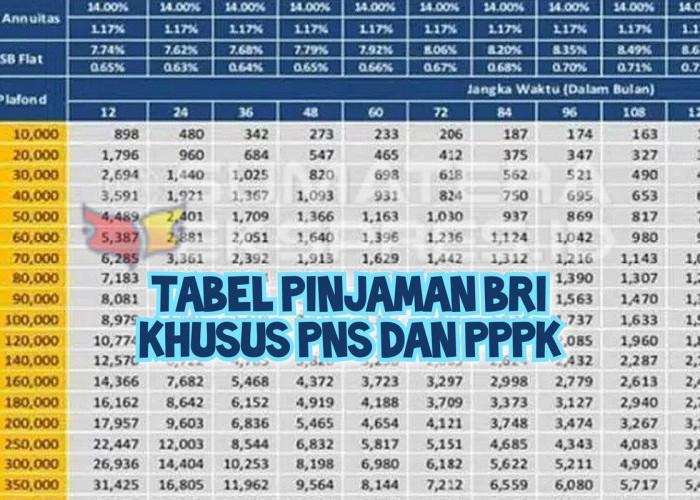 Tabel Pinjaman Bank BRI untuk PNS dan PPPK, Bunga Ringan dan Tenor Fleksibel Hingga 15 Tahun