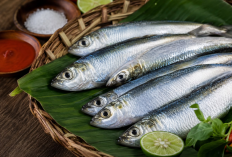Tak Perlu Impor Salmon, Ikan Lokal Ini Punya Nutrisi yang Tak Kalah Hebat