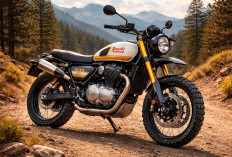 Royal Enfield Luncurkan Bear 650, Motor Retro dengan Tenaga Buas