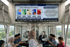 Beli HP Murah Rasa Flagship: 5 Rekomendasi Memori 256 GB Lengkap NFC