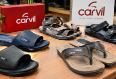 Sandal Carvil Jadi Pilihan Praktis, Ini Harga dan Spesifikasinya