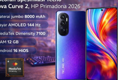 Kupas Tuntas Performa dan Fitur Tambahan Pova Curve 2