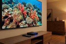 Bedah 5 Perangkat TV 8K Harga 1 Jutaan: Mana yang Paling Untung?