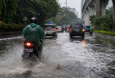 Jangan Asal Pilih Lajur, Ini Cara Aman Lewati Jalan Tergenang