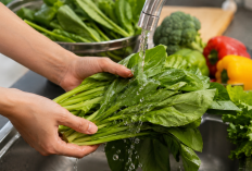 Tak Sekadar Dibilas, Ini Rahasia Mencuci Sayuran Hijau Sebelum Dimasak