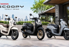 Honda Scoopy Terbaru untuk Mobilitas Harian, Ini Harga dan Spesifikasinya