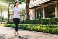 Jangan Langsung Duduk! Jalan Kaki Setelah Makan Siang Ternyata Punya Manfaat Besar