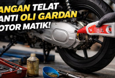 Jangan Remehkan Oli Gardan, Ini Dampaknya Jika Terlambat Diganti