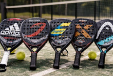 Raket Padel Populer yang Layak Dibeli Tahun Ini