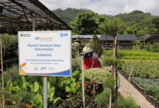 Perkuat Ekonomi Kerakyatan Berbasis Komunitas, BRI Berdayakan Lebih dari 42 Ribu Klaster Usaha