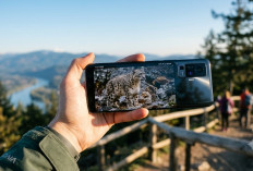 Vivo X500 Pro Max Segera Rilis, Spek Layar dan Daya Tahannya Bikin Kompetitor Ketar-Ketir!