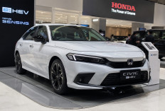 Pasar Otomotif Bergerak Cepat, Hybrid Jadi Pilihan Paling Rasional