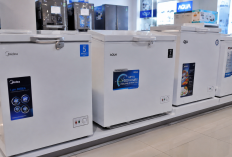 Cari Freezer Hemat Listrik? Ini Pilihan Merek dan Harganya