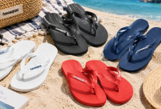 Havaianas Top, Sandal Jepit Klasik dengan Desain Simpel dan Harga Rp329 Ribuan