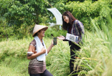 BRI Gaspol Dorong Ekonomi Rakyat lewat KUR Rp178 Triliun