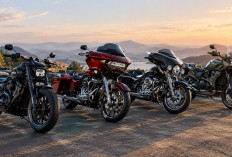 Motor Premium dengan Desain Ikonik, Harley-Davidson.