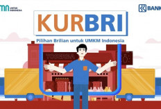 KUR BRI 2026 untuk Pemilik Toko Online: Syarat, Dokumen, dan Cara Daftar