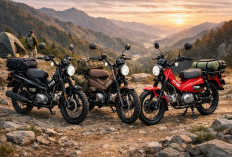 Honda CT125 Hunter Cub 2026 Resmi Dirilis di Jepang, Motor Adventure Mini Idaman Anak Touring